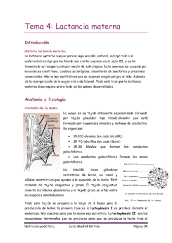 pediatrica 4.pdf