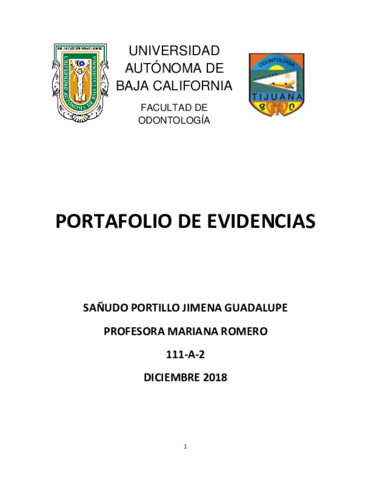 PORTAFOLIO.pdf