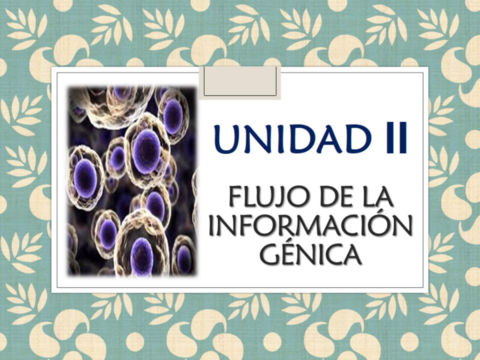 UNIDAD 2 BIO CEL PDF.pdf