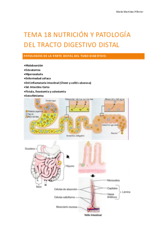 tema 18 Nutrición y patología del tracto digestivo distal..pdf