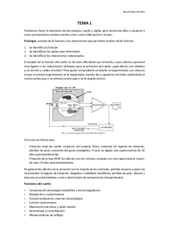 Apuntes T1.pdf