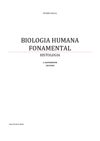 RESUM HISTO.pdf