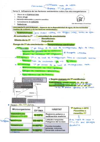 Miniatura del documento Tema 5.pdf