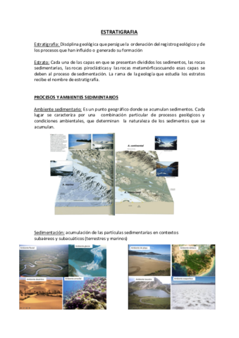 ESTRATIGRAFIA.pdf