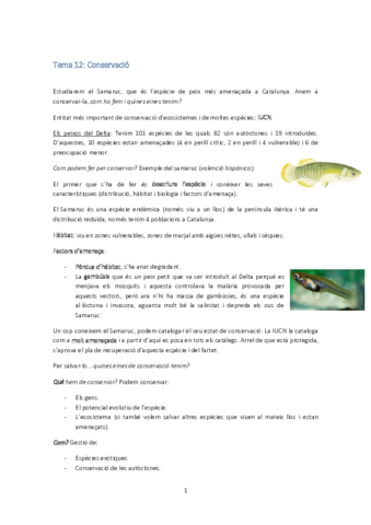 Tema 12.pdf