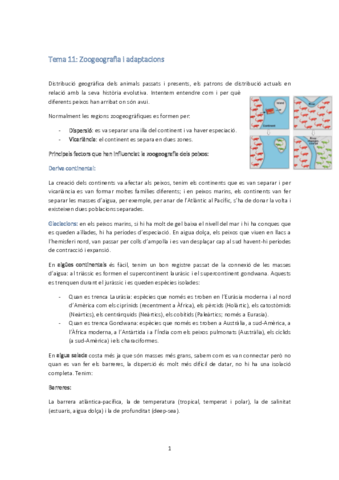 Tema 11.pdf