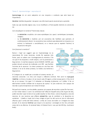 Tema 5 aprenentatge i reproducció.pdf
