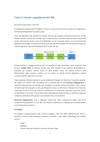 Tema 2-Funció i organització del SNC.pdf