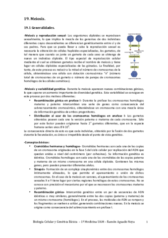 Genética Básica.pdf