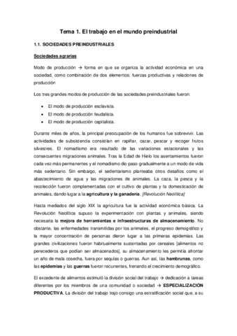 TEMA 1 Y TEMA 2.pdf