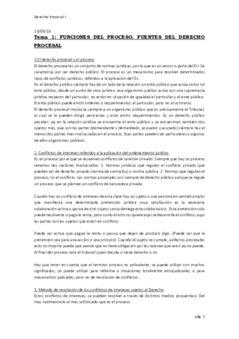Derecho procesal I.pdf