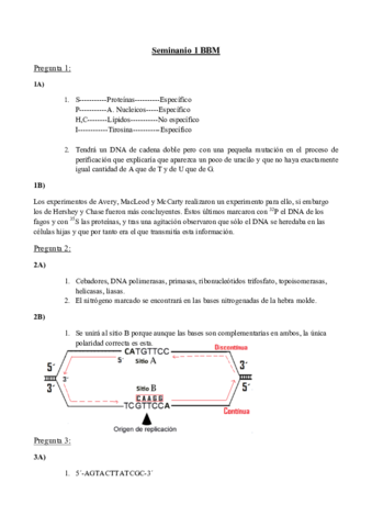 Seminanio 1 BBM.pdf