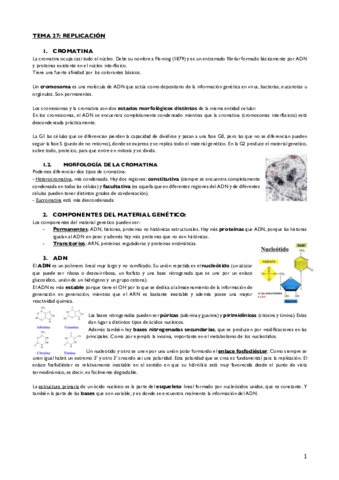 Tema 27.pdf