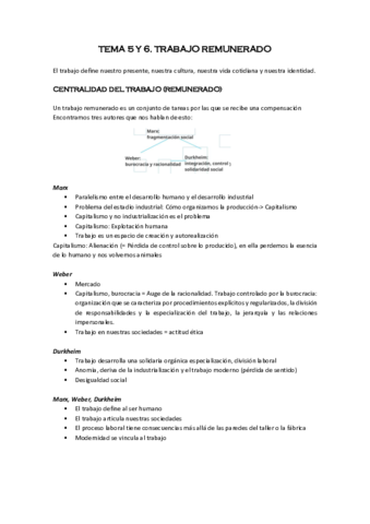 TEMA 5 Y 6- PS TREBALL.pdf
