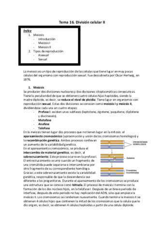 Tema 16 biologia.pdf