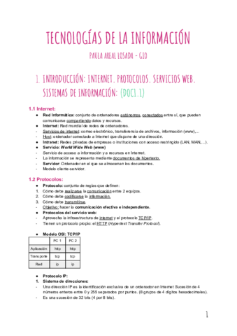 Apuntes TI.pdf