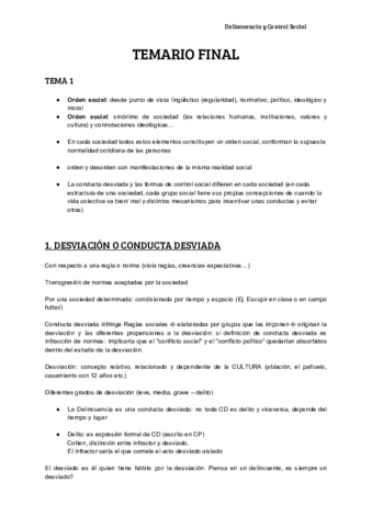 TEMARIO FINAL.pdf