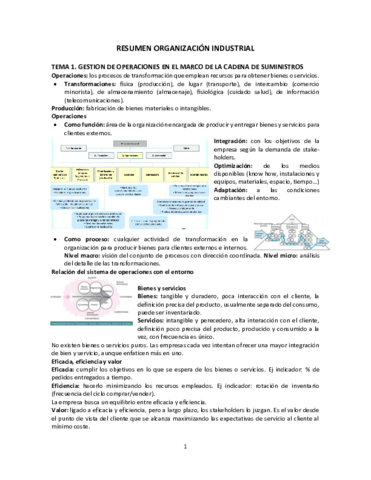 Resumen OI.pdf