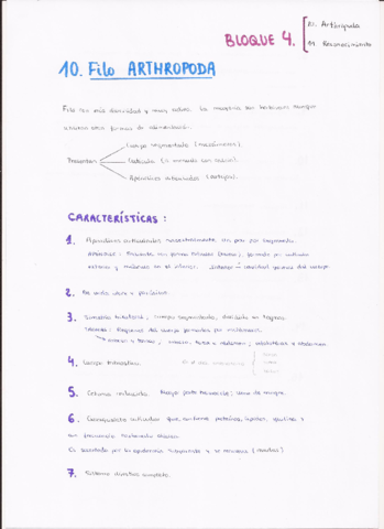 10. Arthropoda (p. 1).pdf
