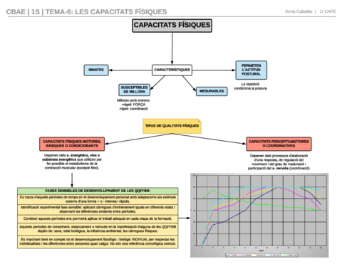 T6 CBAE (1).pdf