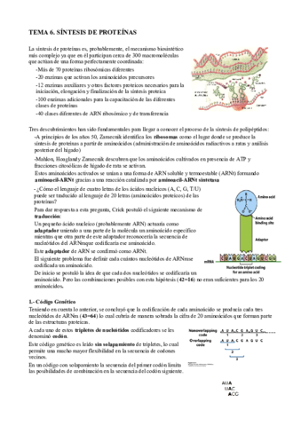 T6. Síntesis de proteinas.pdf