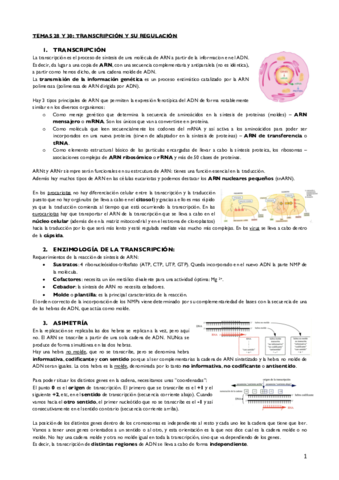 Tema 28 y 30.pdf