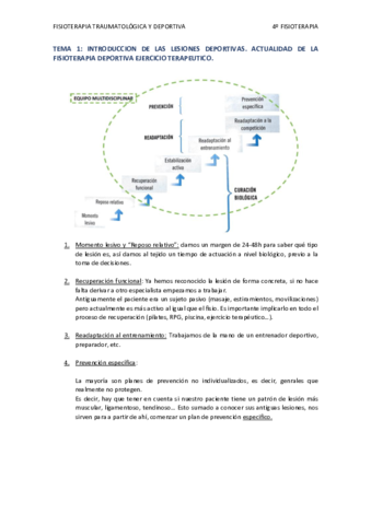 TEMA 1.pdf