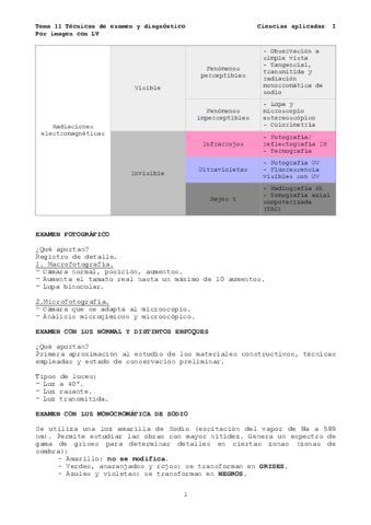 TEMA 11.pdf