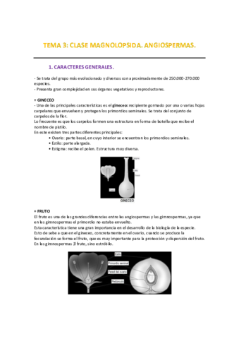 Tema 3_MAGNOLIOPSIDA. CARACTERES GENERALES..pdf