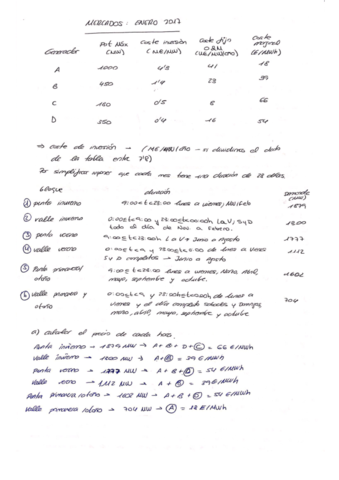 Examen Enero 2017.pdf