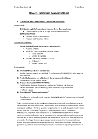 TEMA 19 ok.pdf