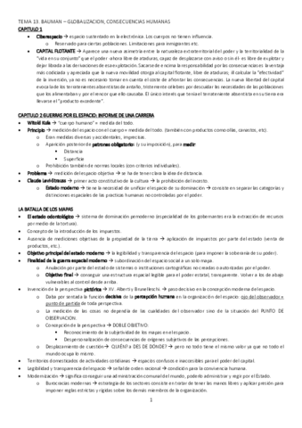 TEMA 13 RESUMEN BAUMAN OK.pdf