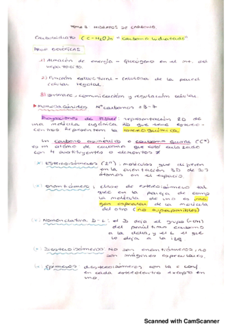 Hidratos de carbono.pdf