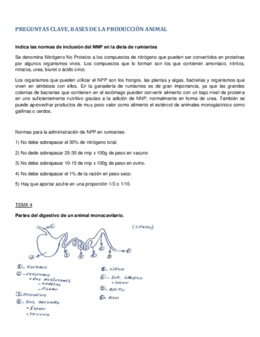 PREGUNTAS CLAVE BASES- PKDOORR.pdf