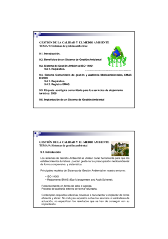 Tema 9 MA.pdf