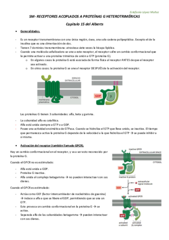 SM - RECEPTORES ACOPLADOS A PROTEINAS G HETEROTRIMERICAS subir.pdf