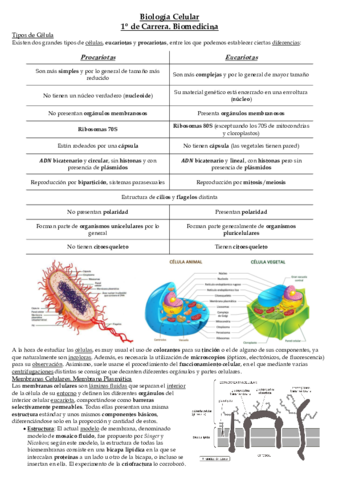 Temario Biología Celular Completo (sin Embrio).pdf