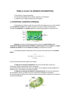 TEMA 2_La luz y el aparato fotosintético..pdf