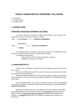 TEMA 6_Asimilación del nitrógeno y azufre.pdf