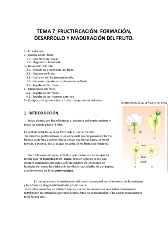 TEMA 7_Fructificación..pdf