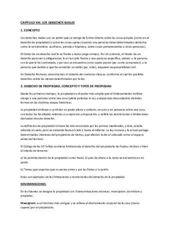 CAPÍTULO XIII.pdf