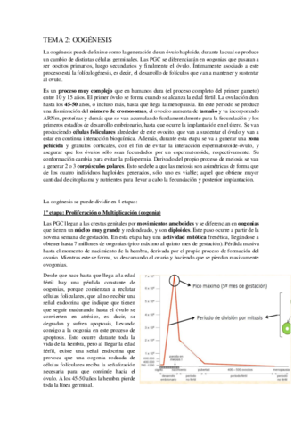 Tema 2.pdf