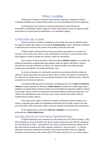 TEMA 3- FLOEMA.pdf