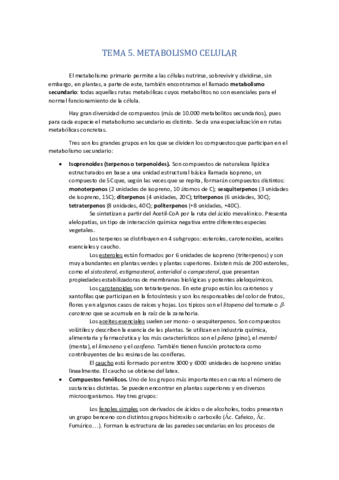 TEMA 5- METABOLISMO SECUNDARIO.pdf