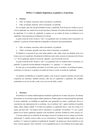 TEMA 1.pdf