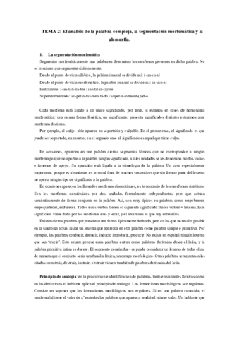 TEMA 2.pdf