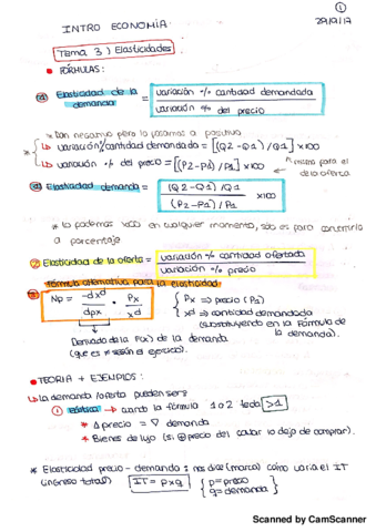 TEMA 3 ELASTICIDAD.pdf