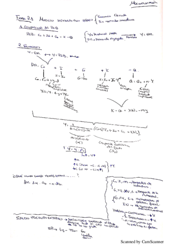 teoria macro intermedia.pdf
