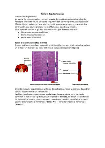 Tejido muscular.pdf