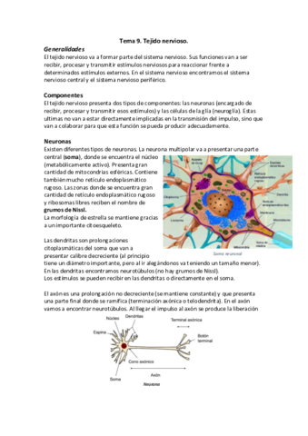 Tejido nervioso.pdf